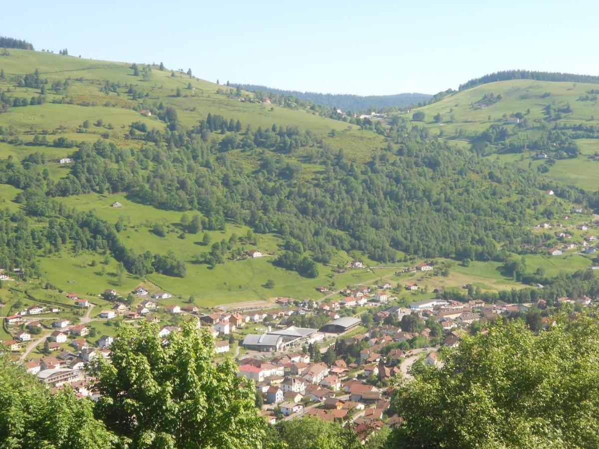 Bouton D Or Apartment La Bresse Luaran gambar