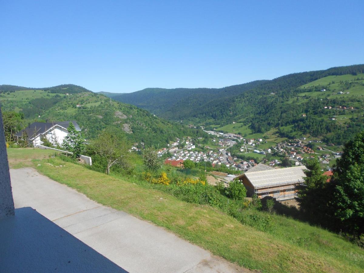 Bouton D Or Apartment La Bresse Luaran gambar