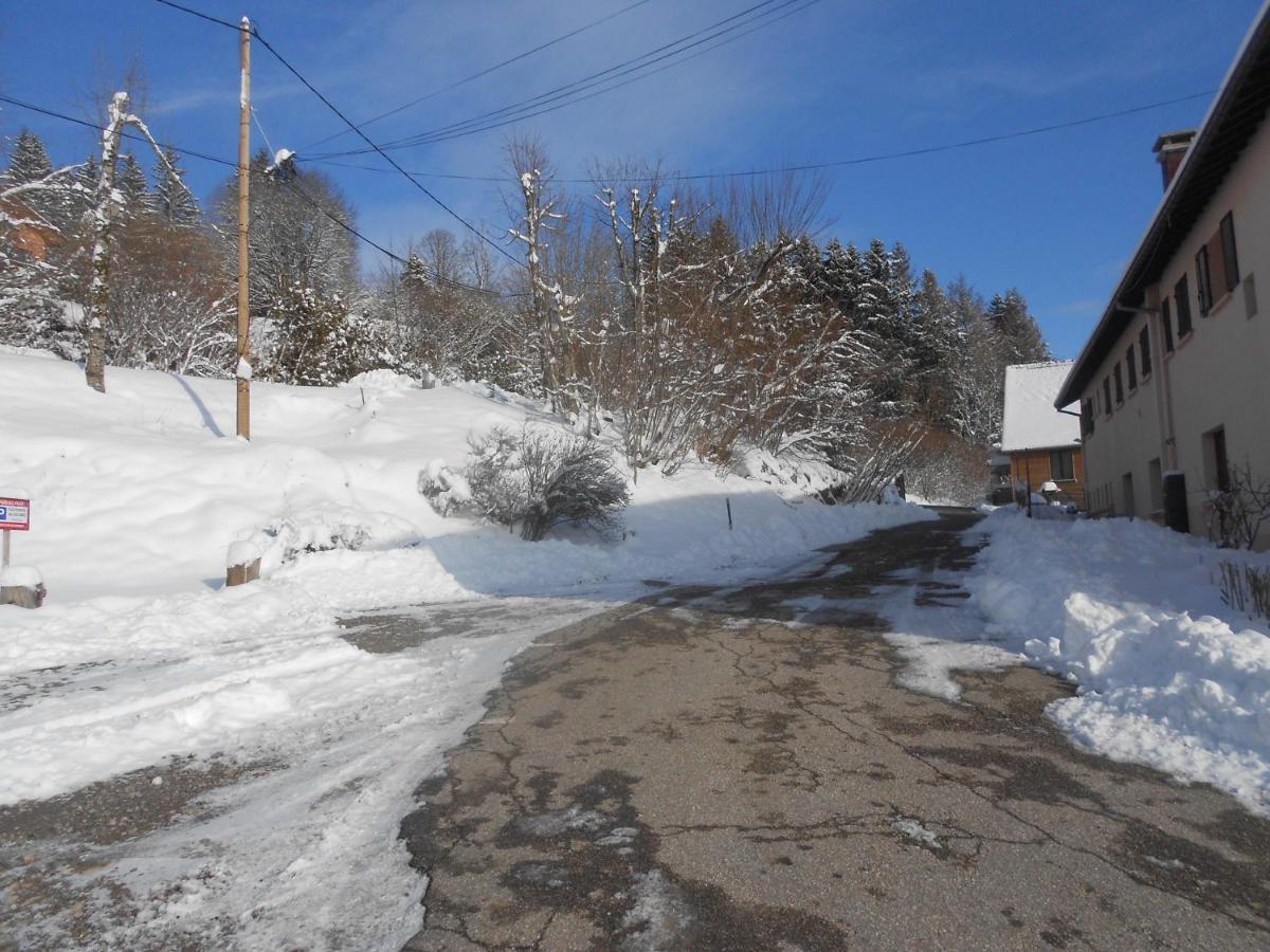 Bouton D Or Apartment La Bresse Luaran gambar